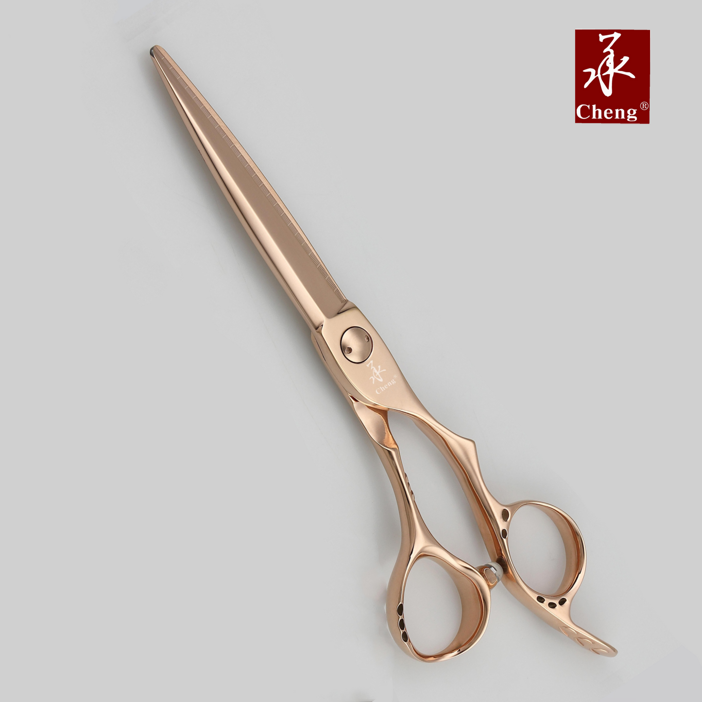 A4-60TR Hair  Cutting Scissors 6.0 Inch Gradient style