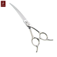 Cheng Professional Curve Pet Grooming Scissors with Super Light Titanium Handle 6.0/ 6.5 Inch