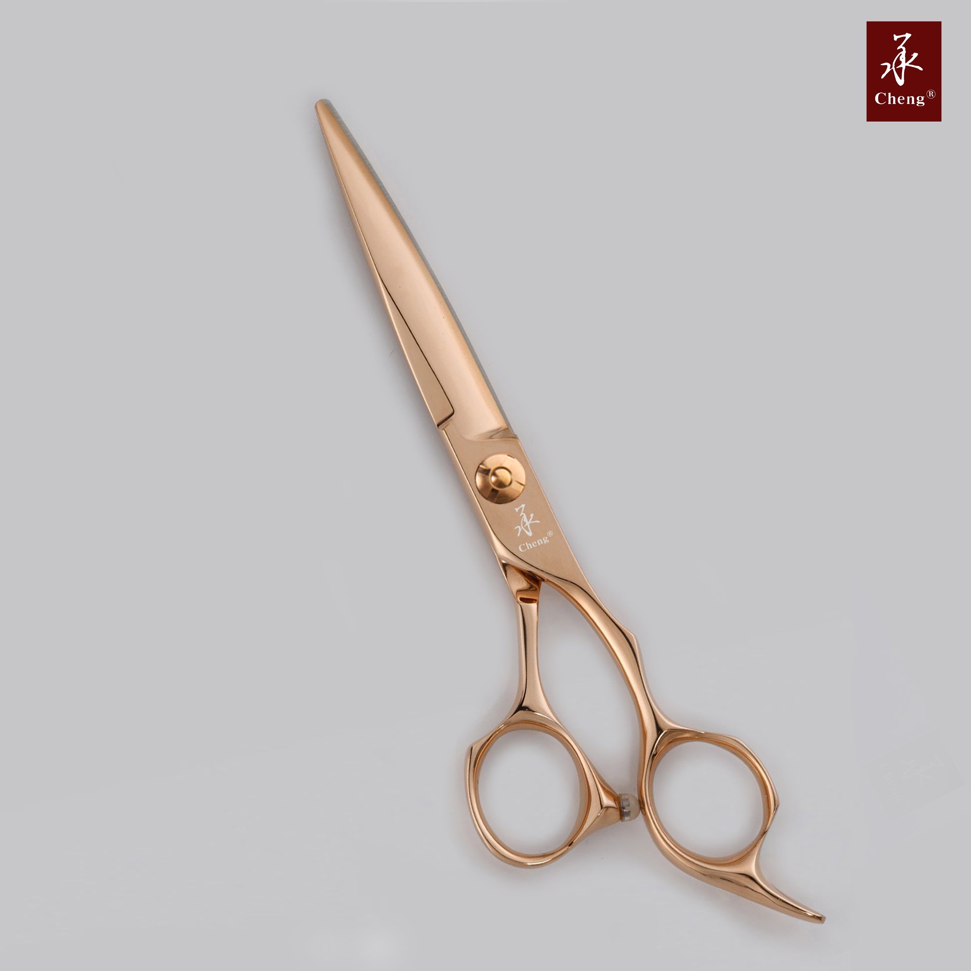 6.0 ICON Gold Professional Hair Cutting Scissors ICT-201 – ICON